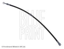 Blue Print ADN153139