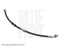 Blue Print ADN153143