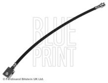 Blue Print ADN153145