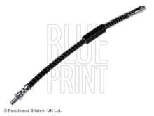Blue Print ADN153148