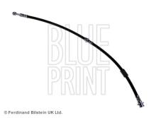 Blue Print ADN153153