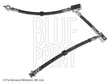 Blue Print ADN153161