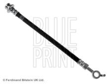 Blue Print ADN153177