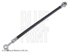 Blue Print ADN153183