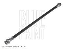 Blue Print ADN153186