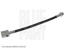Blue Print ADN153195