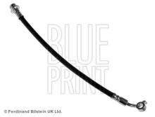 Blue Print ADN153234