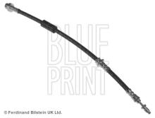 Blue Print ADN153238