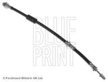 Blue Print ADN153239