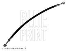 Blue Print ADN153240