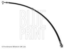 Blue Print ADN153249