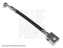 Blue Print ADN153252