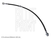 Blue Print ADN153255