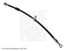 Blue Print ADN153260