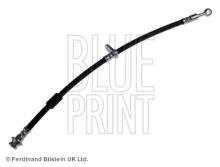Blue Print ADN153261
