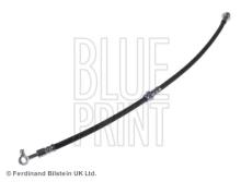 Blue Print ADN153265