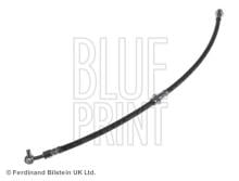 Blue Print ADN153266
