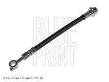Blue Print ADN153268