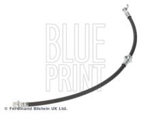 Blue Print ADN153272