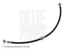 Blue Print ADN153274