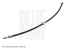 Blue Print ADN153277