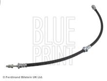 Blue Print ADN153278