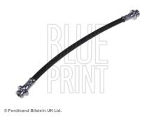 Blue Print ADN15394