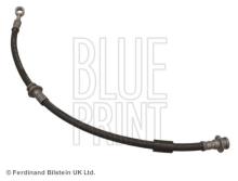 Blue Print ADN15396