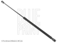 Blue Print ADN15806