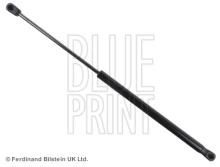 Blue Print ADN15811