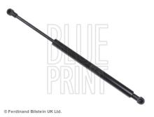 Blue Print ADN15812