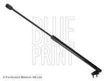 Blue Print ADN15813