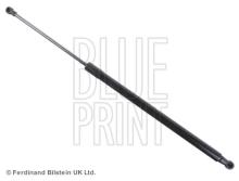 Blue Print ADN15824