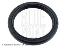 Blue Print ADN16146