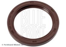 Blue Print ADN16148