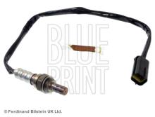 Blue Print ADN17017
