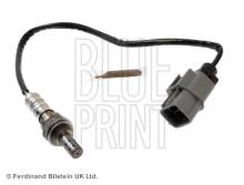 Blue Print ADN17034