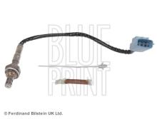 Blue Print ADN17042