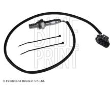Blue Print ADN17048
