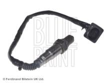Blue Print ADN17051