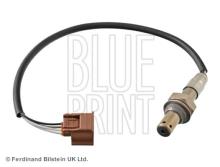 Blue Print ADN17059