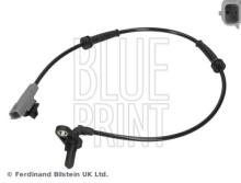Blue Print ADN17165