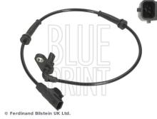 Blue Print ADN17166