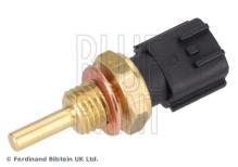 Blue Print ADN17205