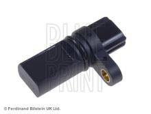 Blue Print ADN17206
