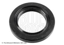 Blue Print ADN17235