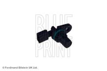Blue Print ADN17249