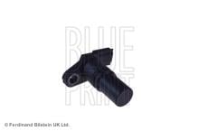 Blue Print ADN17250