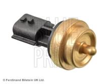 Blue Print ADN17267