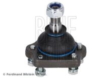 Blue Print ADN18601